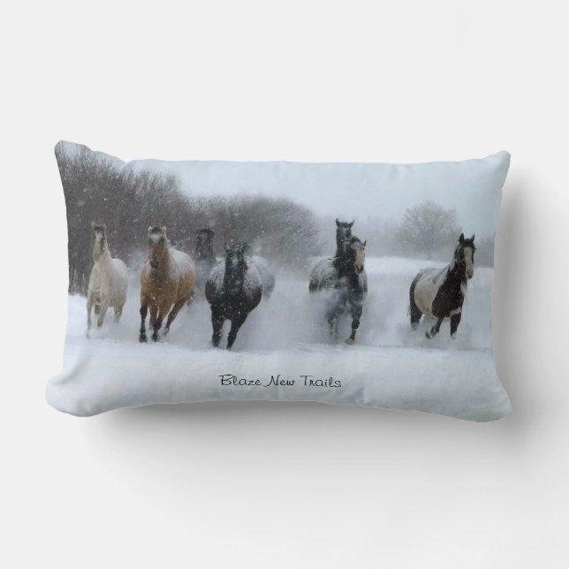 Blaze New Trails Horse Pillow Kussen (Voorkant)