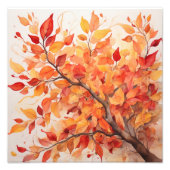 Blaze van de herfst foto afdruk (Voorkant)