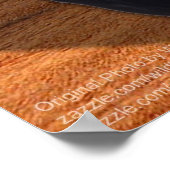 Blazen Raven Poster (Hoek)