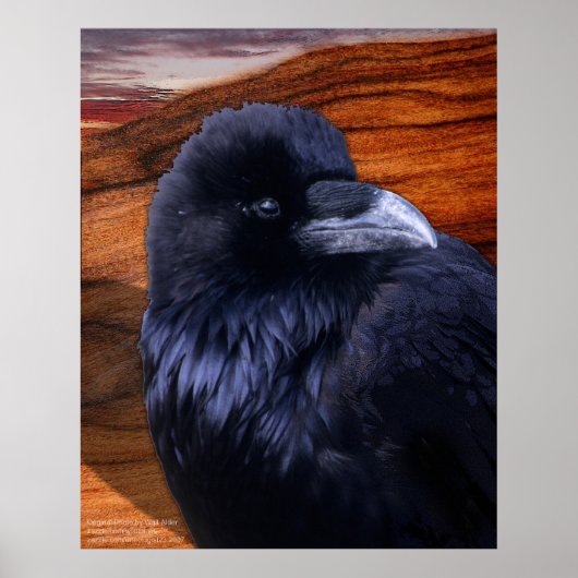 Blazen Raven Poster (Voorkant)