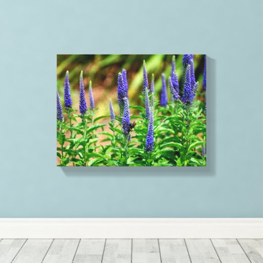 Blazing Star bloemen Canvas Afdruk (Insitu (Houten vloer))