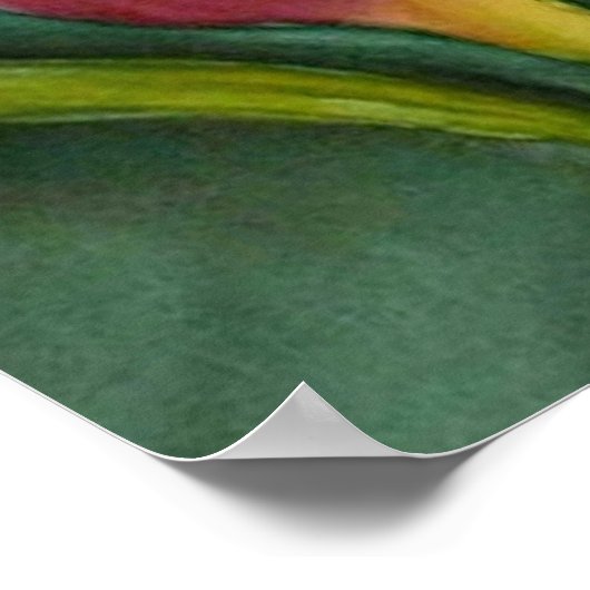 Blazing Tulip Poster (Hoek)