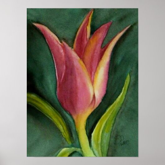 Blazing Tulip Poster (Voorkant)