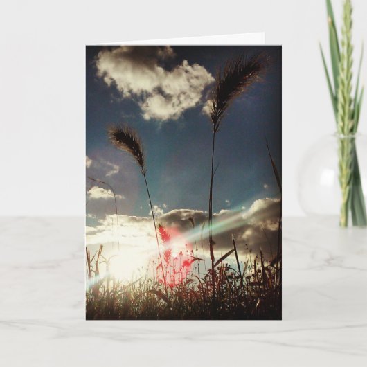 "Blé Field" Carte d'anniversaire (Devant)