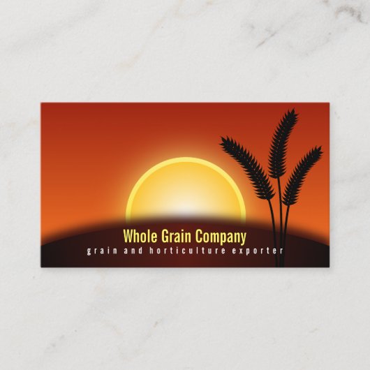Blé Oreilles Coucher de soleil Horticulture Cartes (Devant)