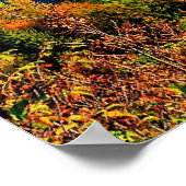 Bled Island, Slovenië Poster (Hoek)