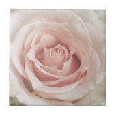 Bleek Antiek Roos Achtergrond Gepersonaliseerd  Tegeltje (Voorkant)