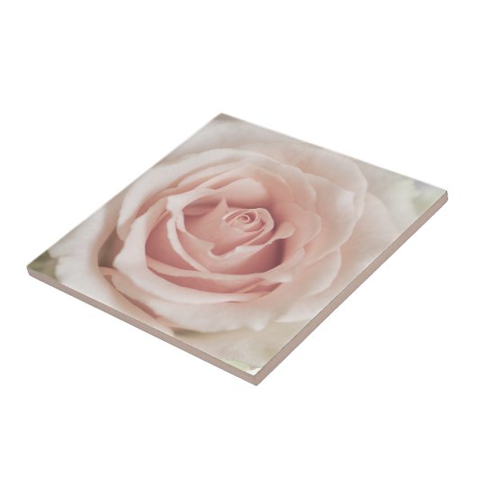 Bleek Antiek Roos Achtergrond Gepersonaliseerd  Tegeltje (Zijkant)