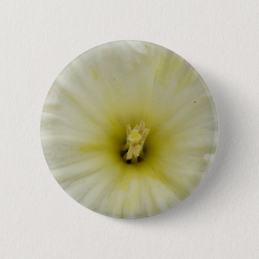  Bleek Daffodil Button (Voorkant)