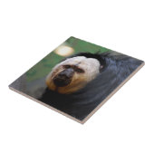 Bleek-faced Saki-aap Tegeltje (Zijkant)