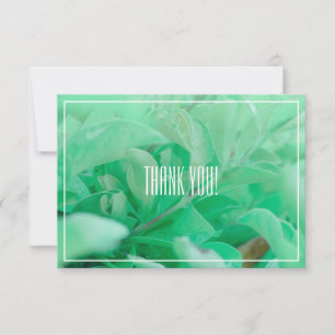 Bleek groen lederen Plant Dank u platte Kaart