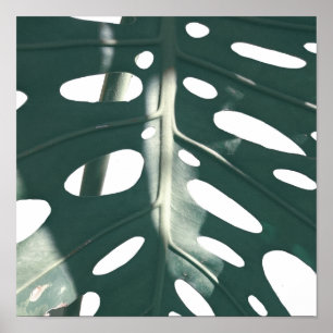 Bleek Groen Pastel Zwitsers Plant Poster