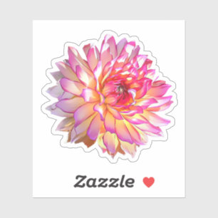 Bleek Ombre Oranje Roze Giant Dahlia Flower Sticker