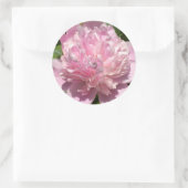 Bleek Pink Peony Ronde Sticker (Tas)