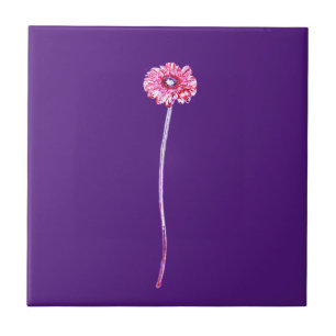 Bleek Rode Roze Paars Gerbera Bloem Tegeltje
