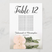 Bleek Roos Bindetafelzitje groot (Achterkant)