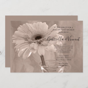 Bleek roze gekleurde Daisy Post Wedding Brunch Kaart