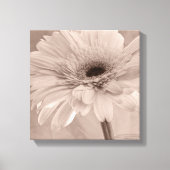 Bleek roze Gerber Daisy Flower Canvas Afdruk (Voorkant)