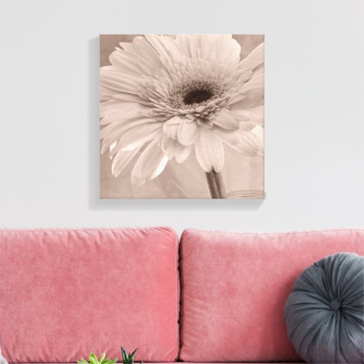 Bleek roze Gerber Daisy Flower Canvas Afdruk (Insitu (Woonkamer))