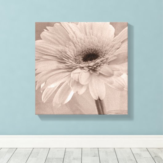 Bleek roze Gerber Daisy Flower Canvas Afdruk (Insitu (Houten vloer))