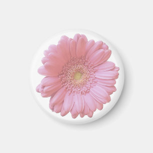 Bleek roze gerbera daisy magneet
