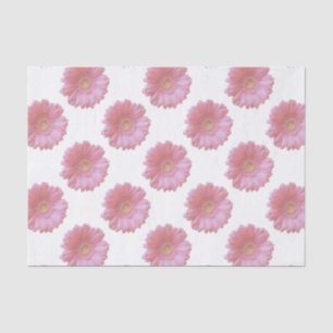 Bleek roze gerbera daisy tissuepapier