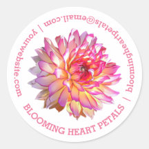 Bleek roze Giant Dahlia Business - Contactgegevens