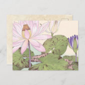  Bleek roze Lotus Briefkaart (Voorkant / Achterkant)