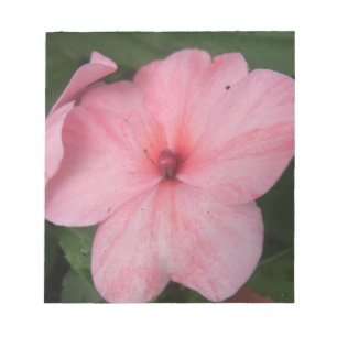 Bleek roze Notitieblok