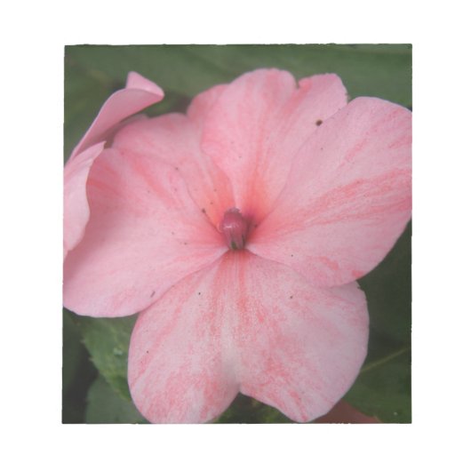 Bleek roze Notitieblok (Voorkant)