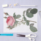 Bleek roze rozen schilderen tissuepapier (Craft)