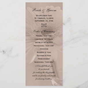 Bleek roze tinted Daisy Wedding Programme Programma