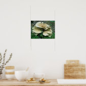 Bleek Shelf Fungus Coordinating Items Poster (Keuken)