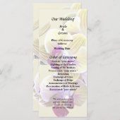 Bleekgele en Magenta Phalaenopsis Orchideeën Programma (Voorkant / Achterkant)