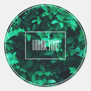 Bleekgroene bladplant Bedankt Sticker