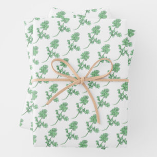 Bleerblad Inpakpapier Vel