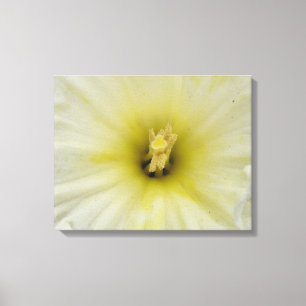 Bleke afdilcanvas afdrukken