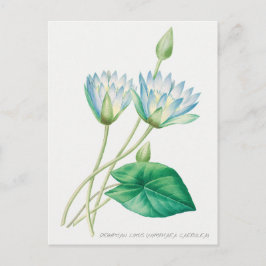 Bleke blauwe Lotus Flower Botanical Illustration Briefkaart