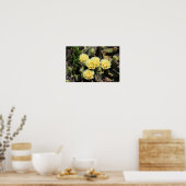 Bleke gele Cactus Blossom Poster (Keuken)