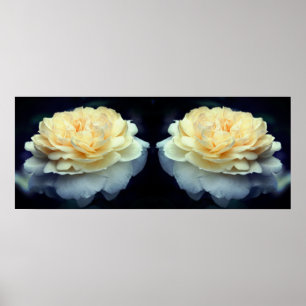 Bleke gele roos in bloesemspiegel Abstract Poster