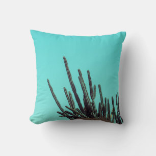 Bleke groene cactus Succulent Plant Minimalisme Kussen