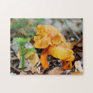 Bleke Oranje Natuur voor wilde paddenstoelen Legpuzzel