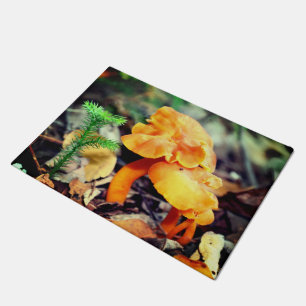 Bleke Oranje wilde paddenstoelen sluiten dicht Deurmat