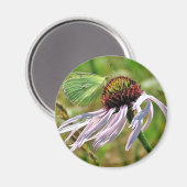 Bleke Paarse Coneflower Magnet Magneet (Voorkant / Achterkant)