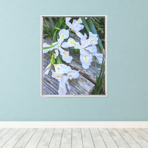 Bleke Paarse Iris Bloemen Canvas Afdruk