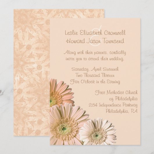 Bleke Peach Gerber Daisy Custom Wedding Invitation Kaart (Voorkant / Achterkant)