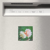 Bleke perzik irismagneet magneet (Insitu (Vaatwasser))