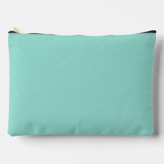Bleke Robin Egg Blue Solid Color Etui (Voorkant)