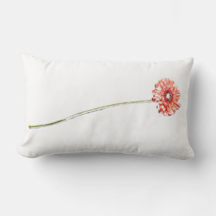 Bleke Rode Chrysanthemum Gerbera Bloem Kussen