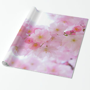 Bleke roze Cherry Blossom Cadeaupapier